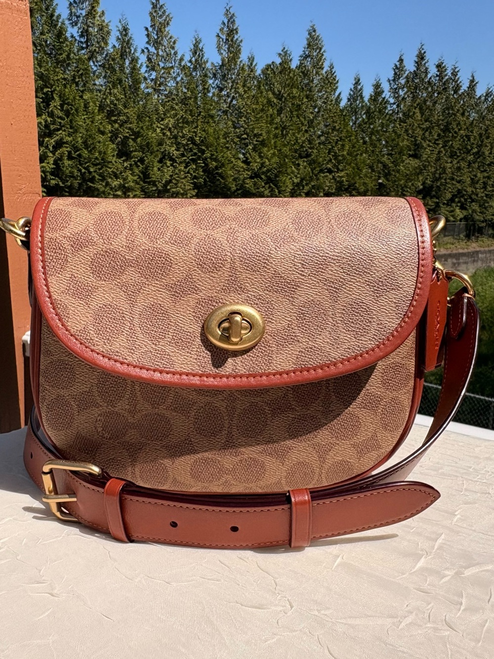 COACH Willow Saddle Bag In Signature Canvas CA093